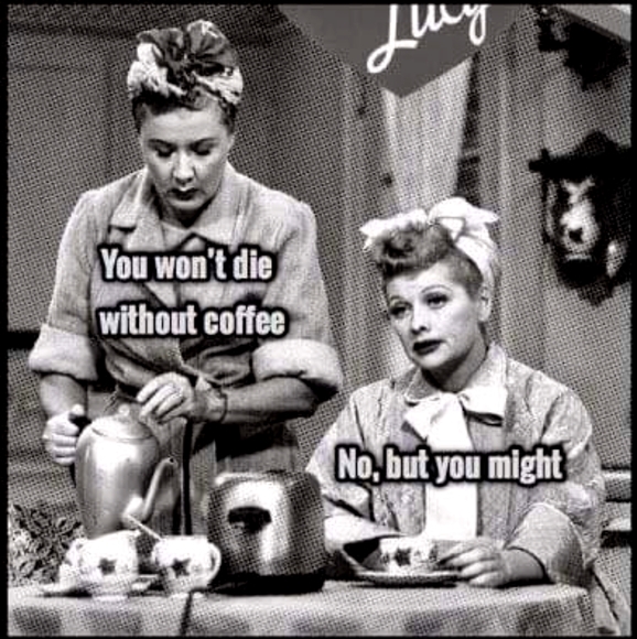 Meet your Posher, Rio - Picture 1 of 5